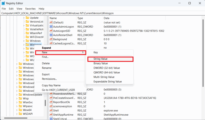 تخطي شاشة تسجيل الدخول إلى Windows محرر سجل Windows 11 اسم المستخدم الافتراضي
